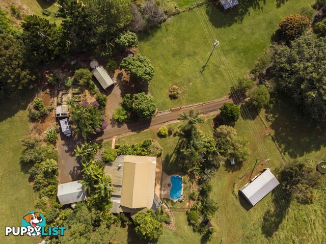 755 Houghlahans Creek Road PEARCES CREEK NSW 2477