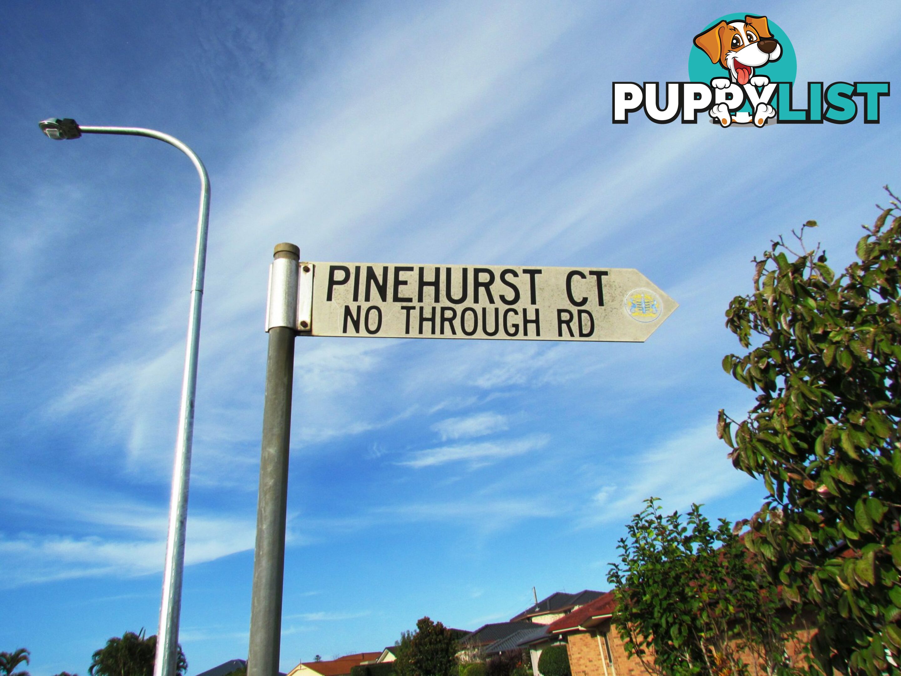 8 Pinehurst Court ALSTONVILLE NSW 2477