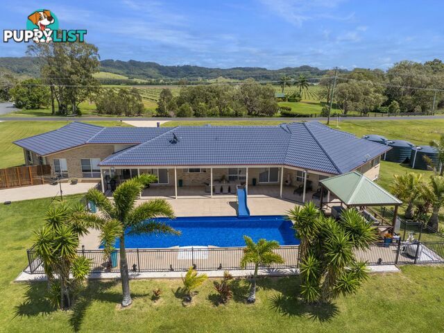 377 Pimlico Road PIMLICO NSW 2478