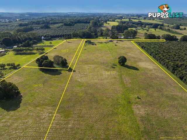 Lot 2/884428/251 Rous Road ROUS NSW 2477