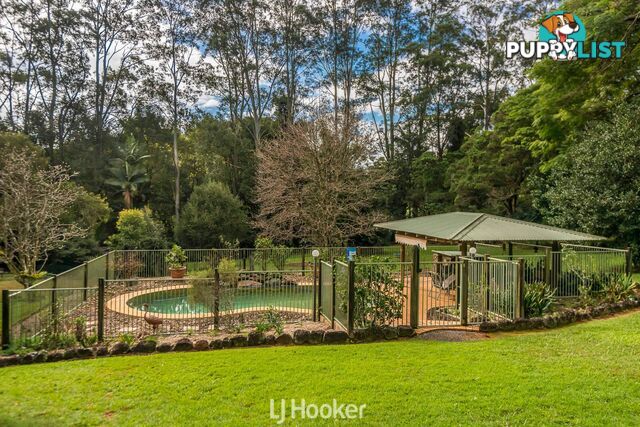 13 Nelson Chase TUCKOMBIL NSW 2477