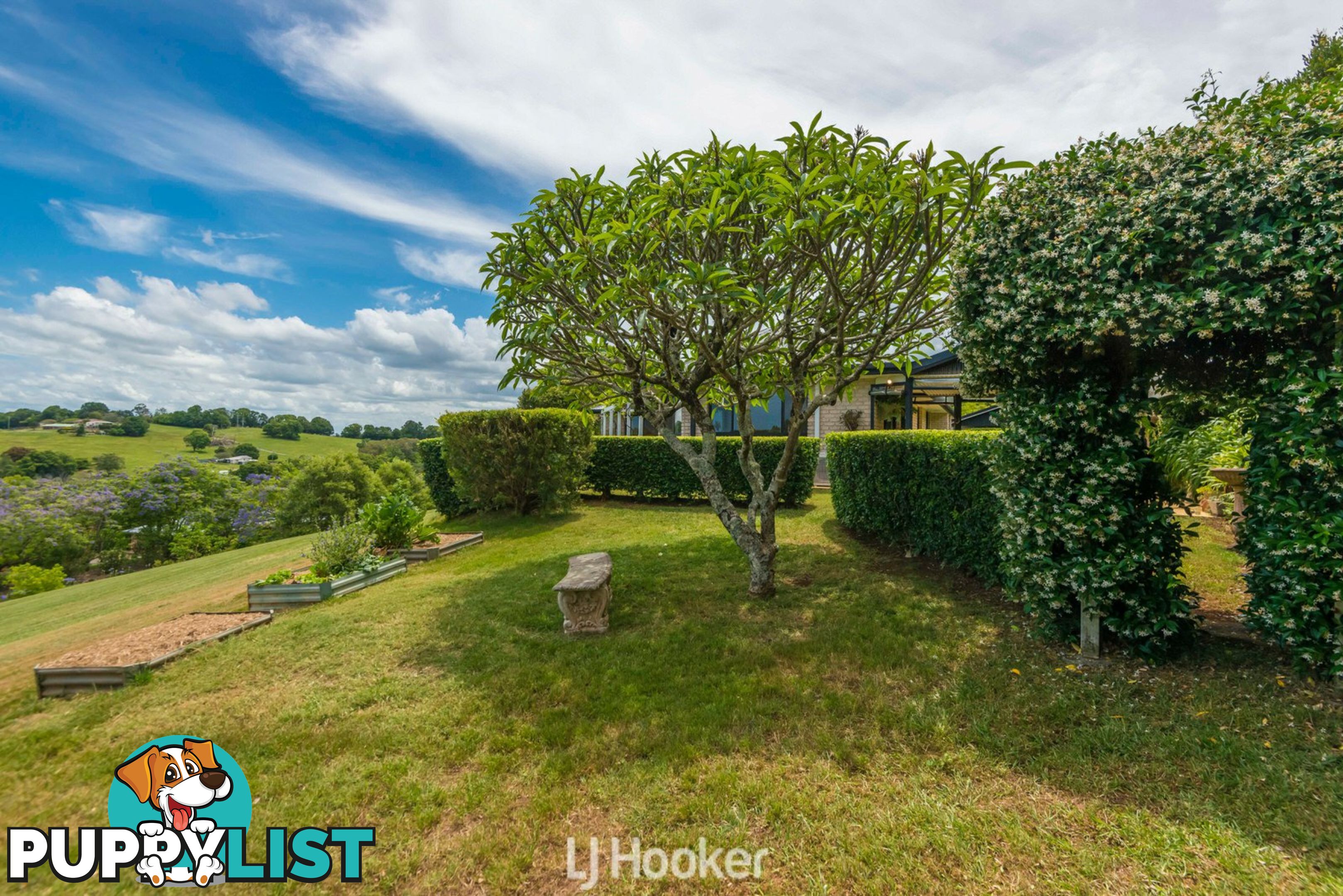 165 Wenga Drive ALSTONVALE NSW 2477