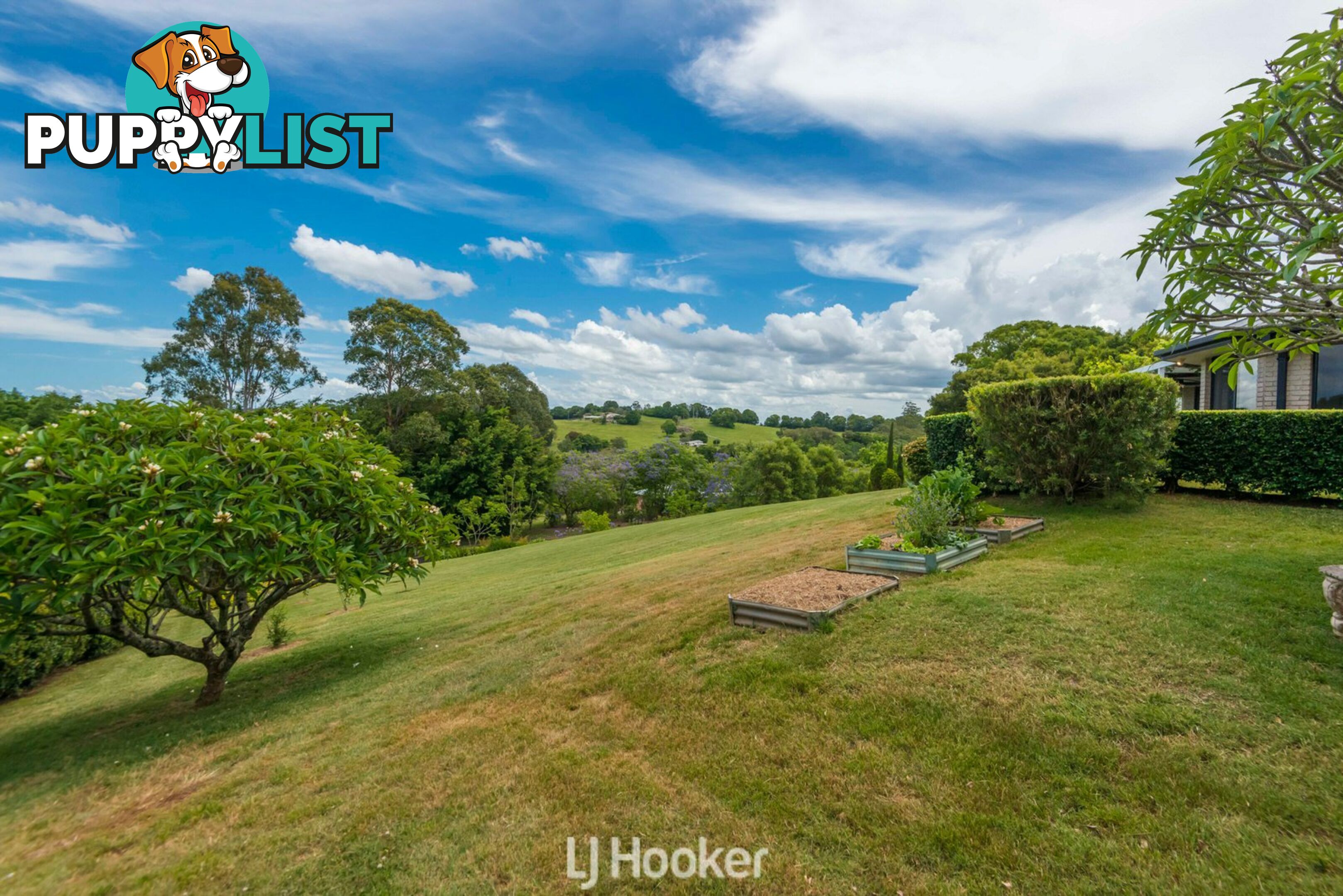 165 Wenga Drive ALSTONVALE NSW 2477