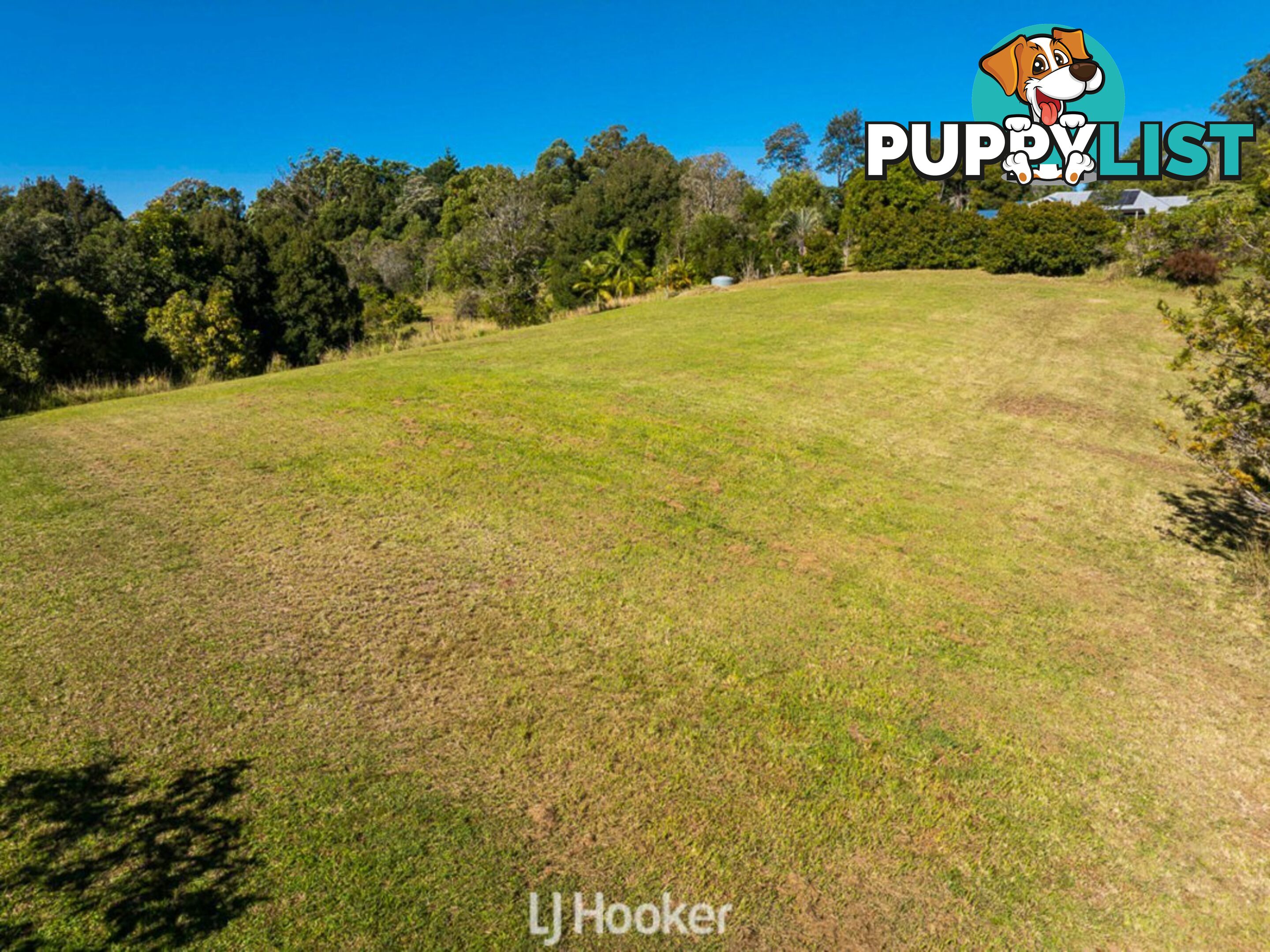 8 Palmers Road MCLEANS RIDGES NSW 2480