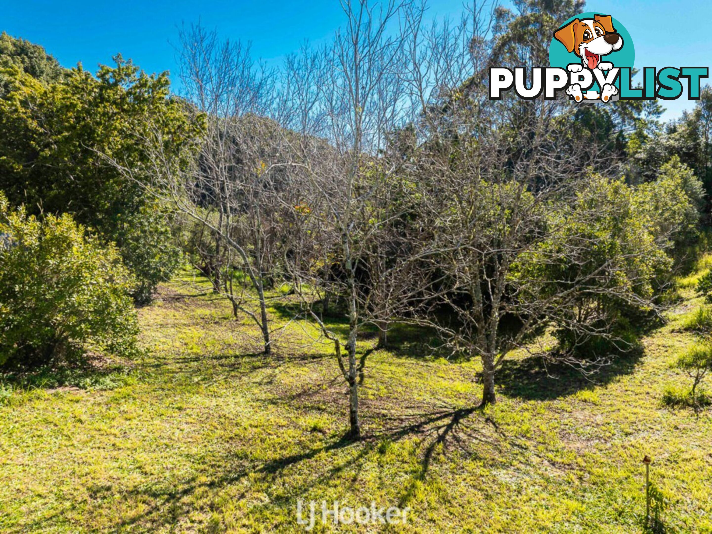 8 Palmers Road MCLEANS RIDGES NSW 2480