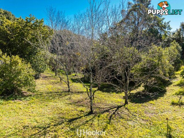 8 Palmers Road MCLEANS RIDGES NSW 2480