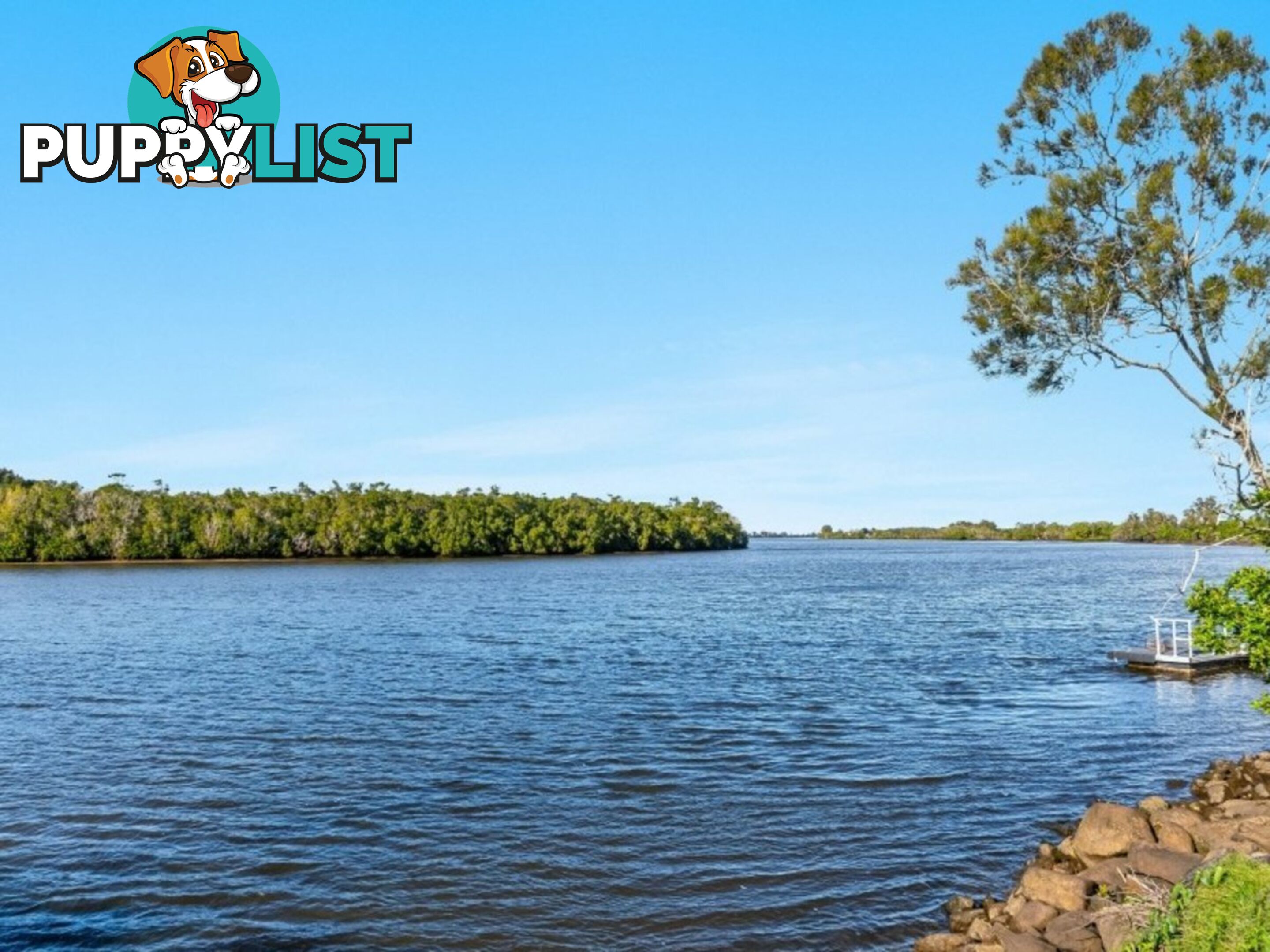 59 Riverbank Road PIMLICO NSW 2478