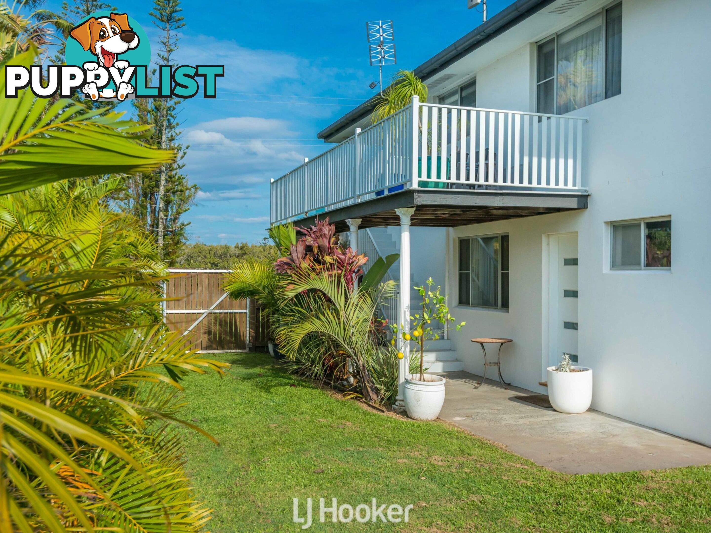 59 Riverbank Road PIMLICO NSW 2478