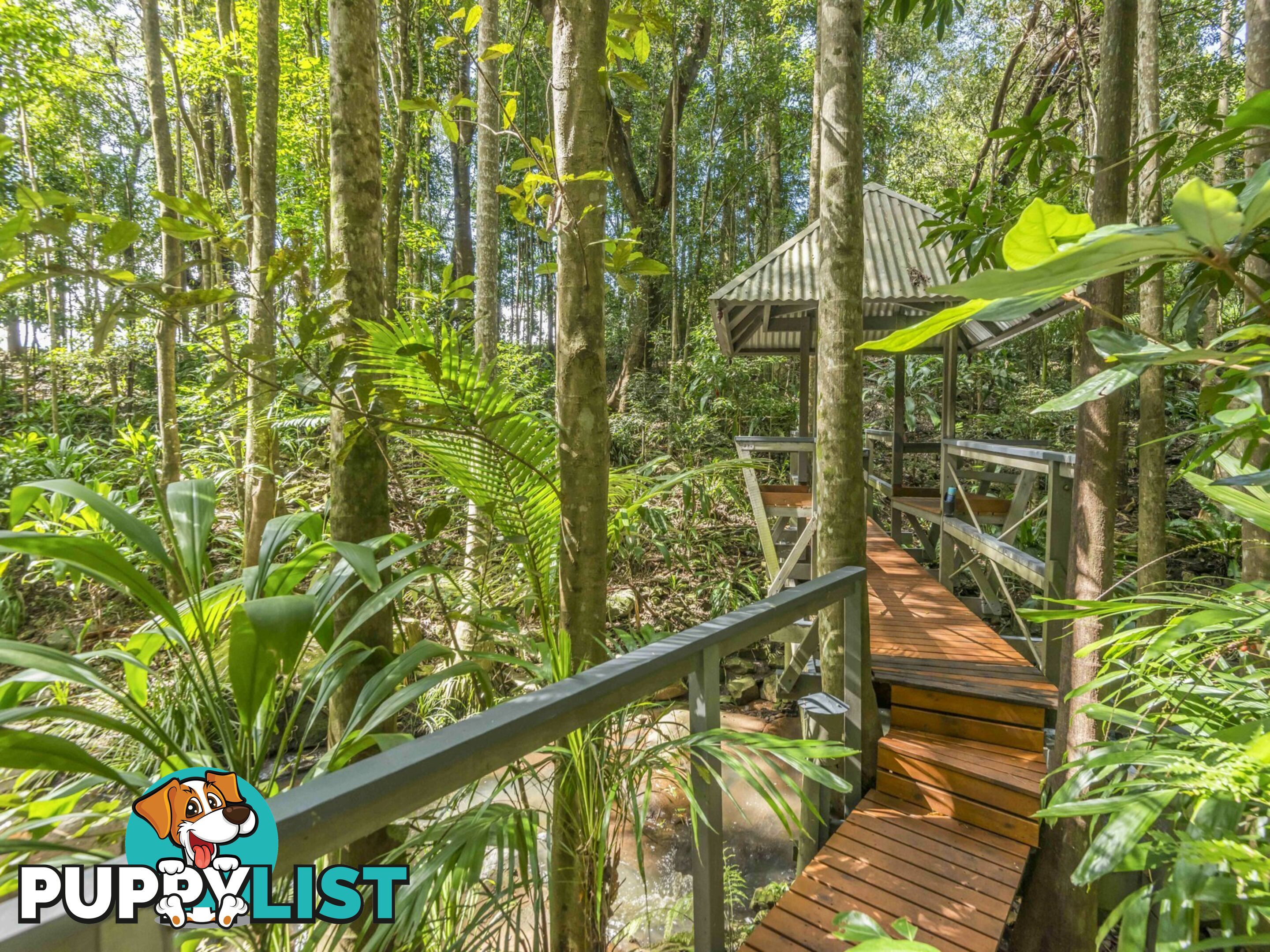 314 Sneaths Road ALSTONVALE NSW 2477