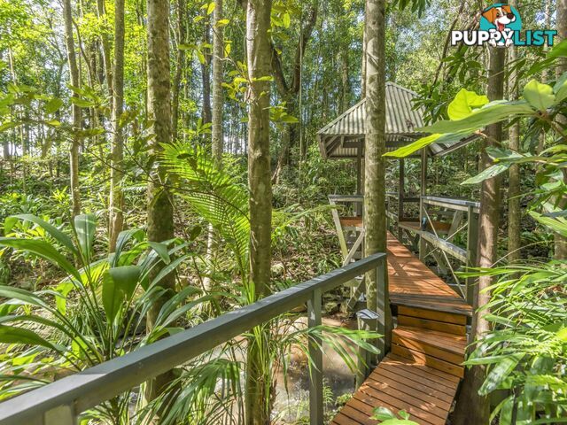 314 Sneaths Road ALSTONVALE NSW 2477
