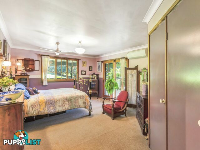 314 Sneaths Road ALSTONVALE NSW 2477