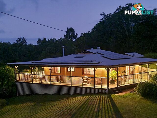 314 Sneaths Road ALSTONVALE NSW 2477