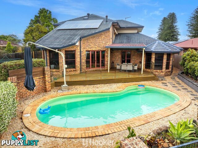 64 Adele Street ALSTONVILLE NSW 2477