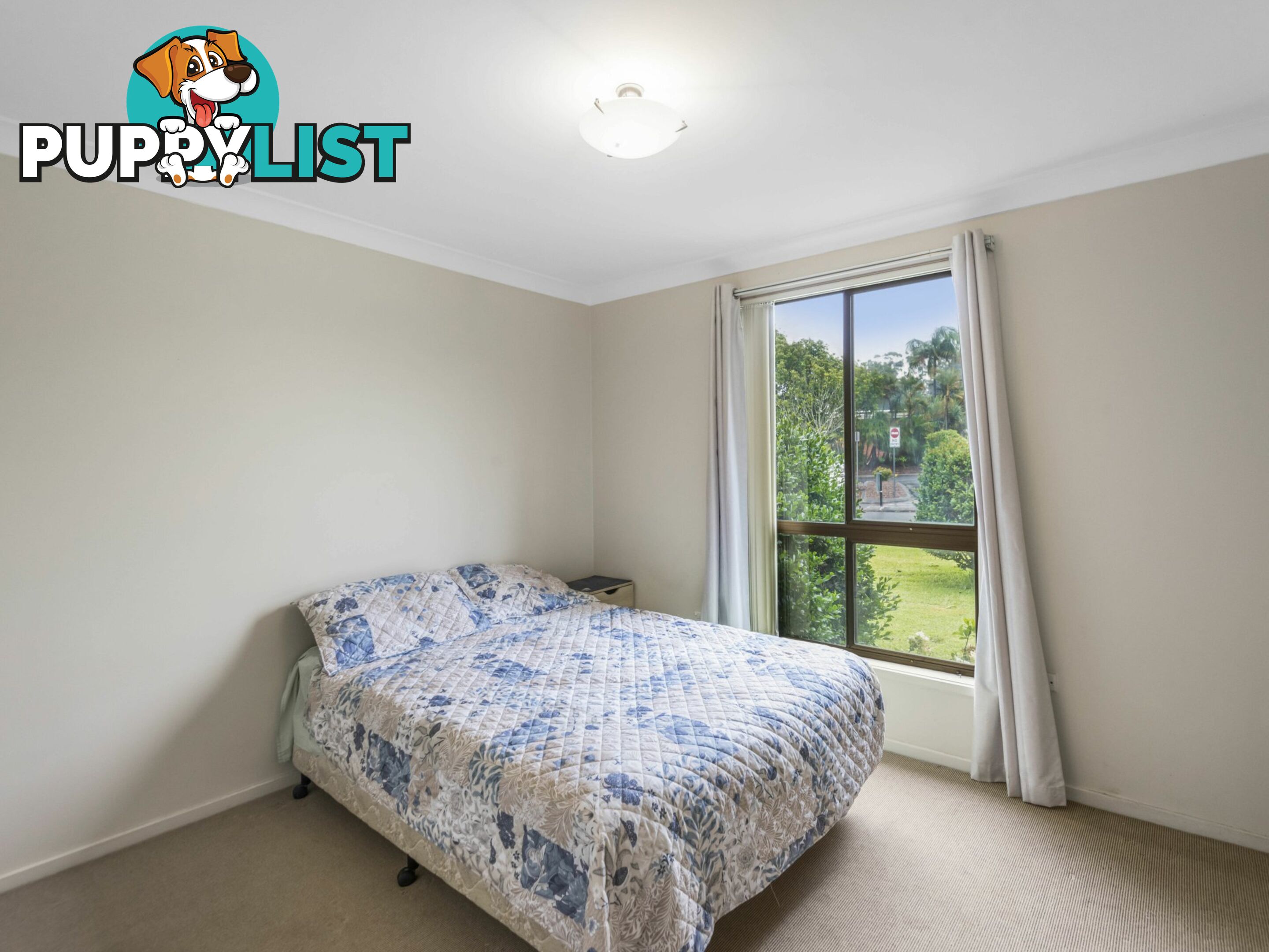 11 Alston Avenue ALSTONVILLE NSW 2477