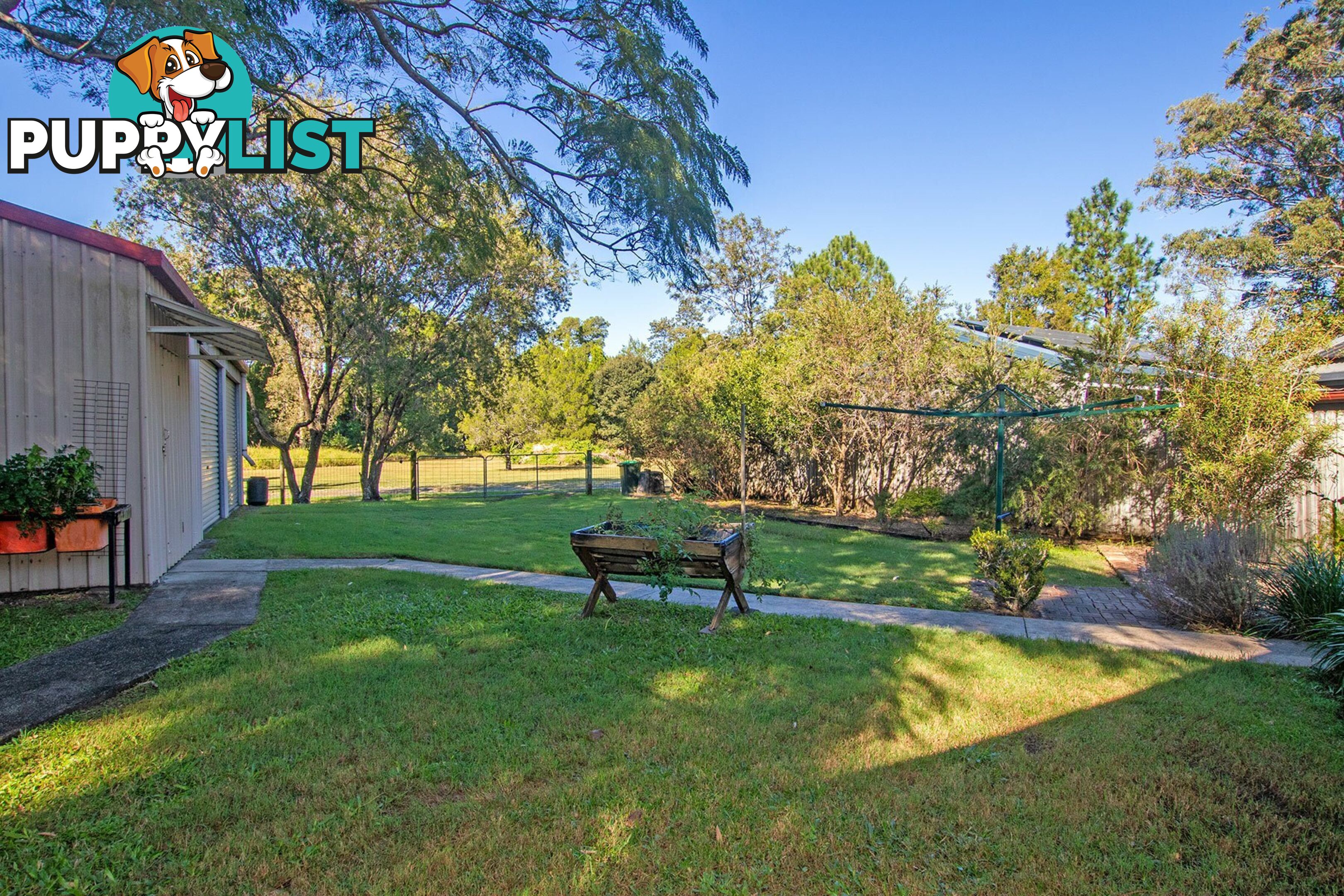 53 Carlisle Street WARDELL NSW 2477