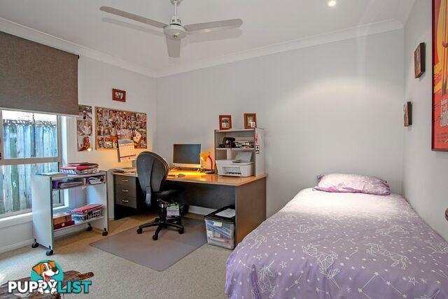 53 Carlisle Street WARDELL NSW 2477