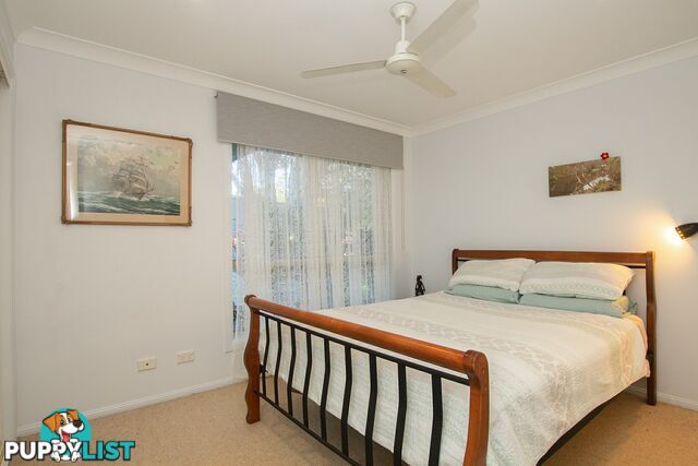 53 Carlisle Street WARDELL NSW 2477