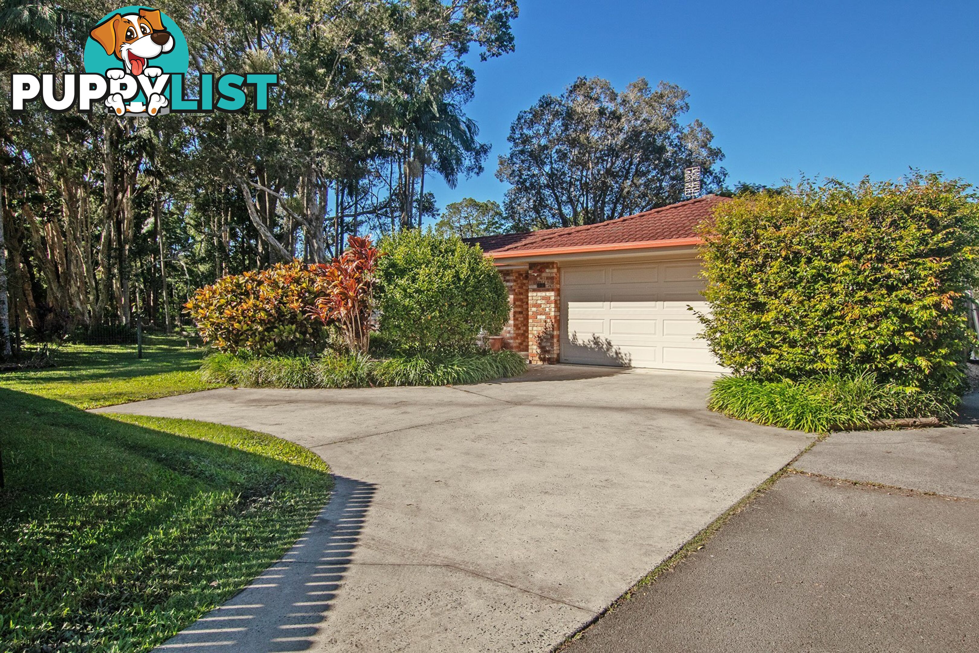 53 Carlisle Street WARDELL NSW 2477