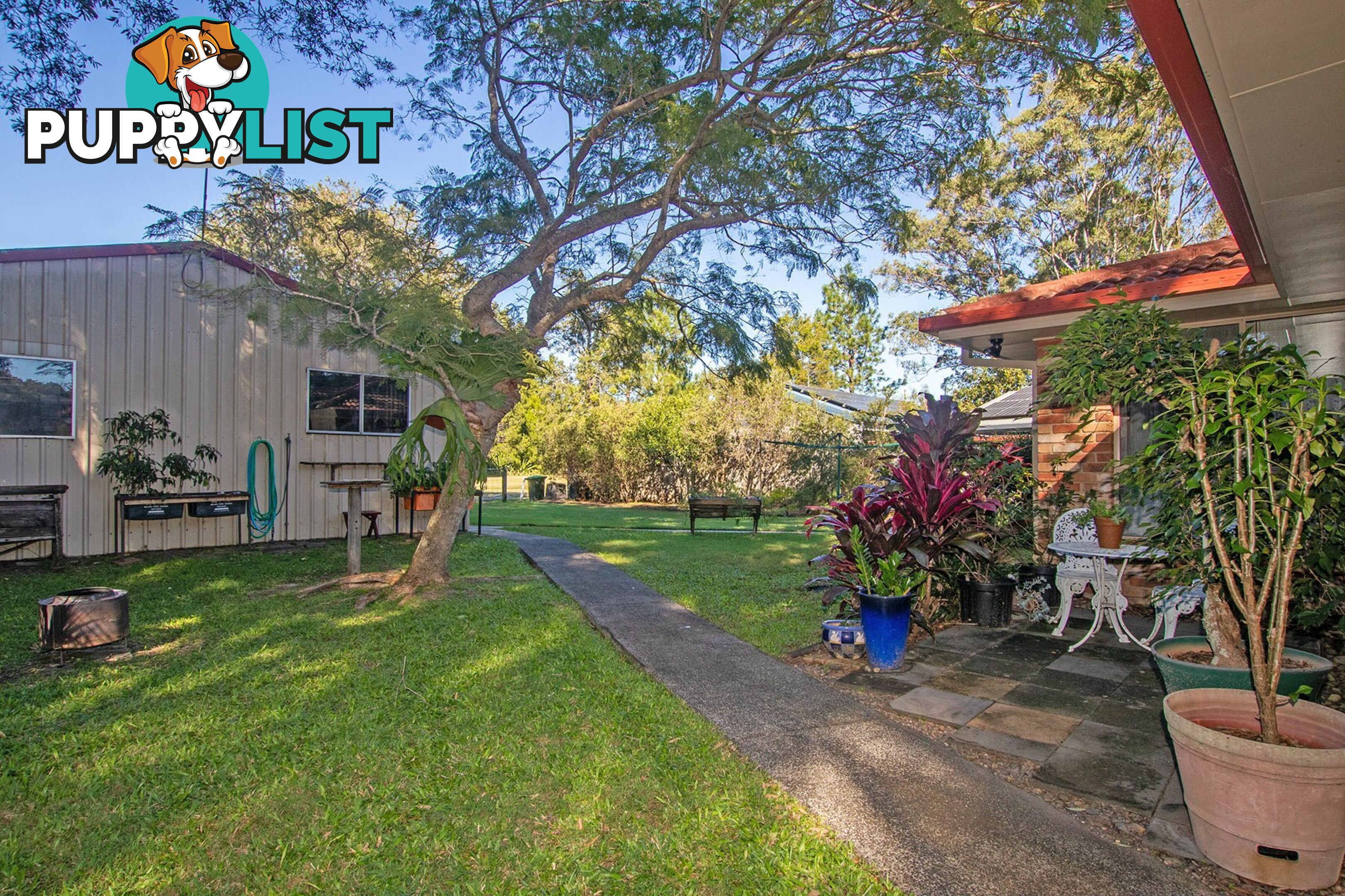 53 Carlisle Street WARDELL NSW 2477
