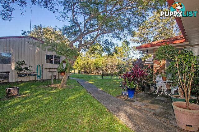 53 Carlisle Street WARDELL NSW 2477