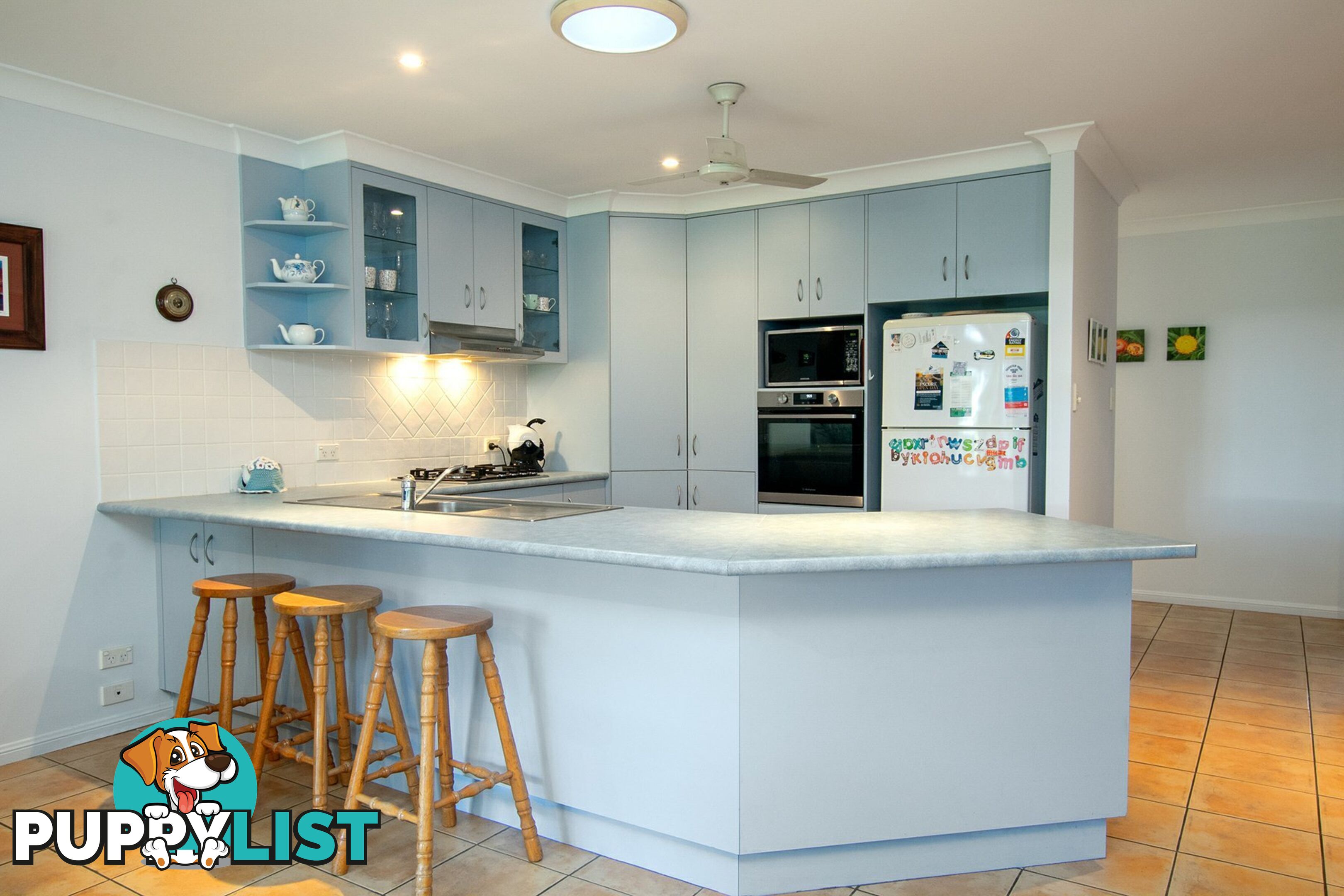 53 Carlisle Street WARDELL NSW 2477