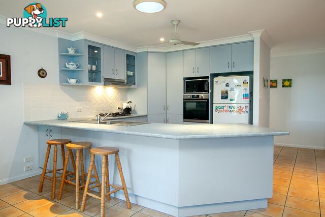 53 Carlisle Street WARDELL NSW 2477