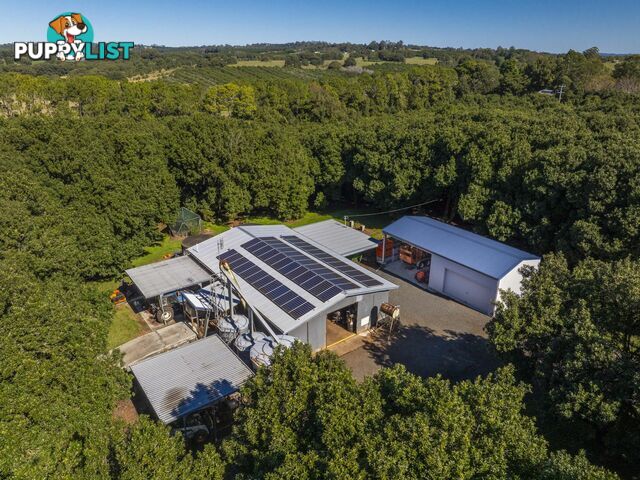 710 Cowlong Road ELTHAM NSW 2480