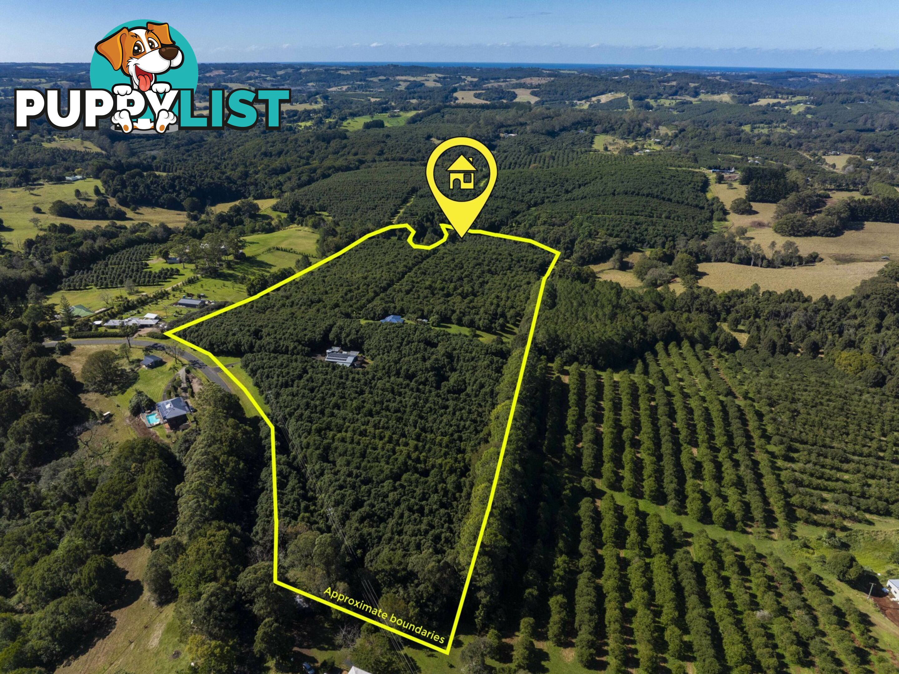 710 Cowlong Road ELTHAM NSW 2480