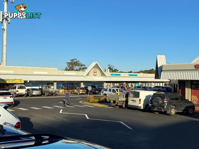 Shop 19/89 - 91 Main Street ALSTONVILLE NSW 2477