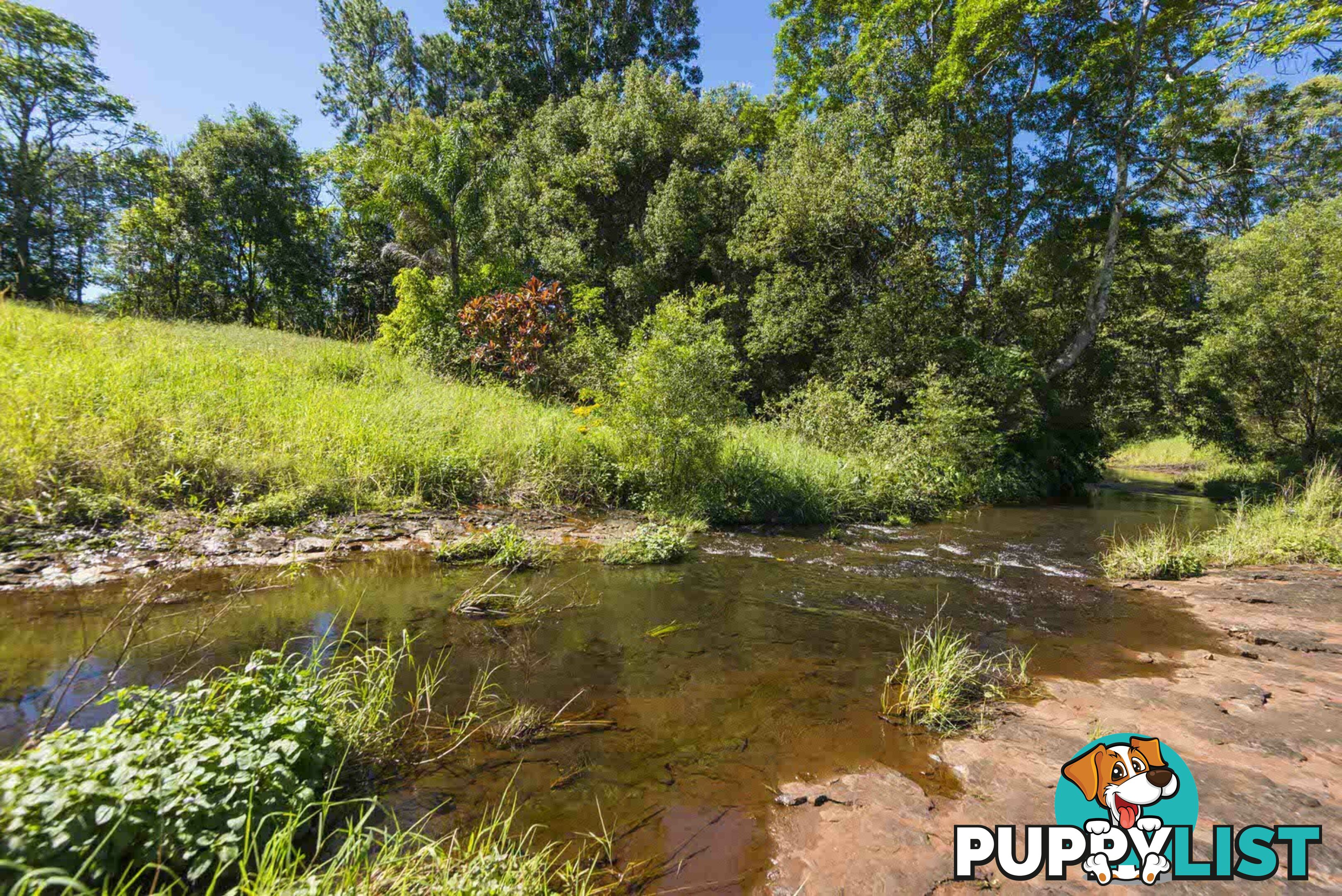 7 Banjo Place ALSTONVILLE NSW 2477