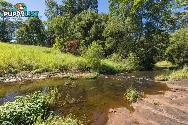 7 Banjo Place ALSTONVILLE NSW 2477
