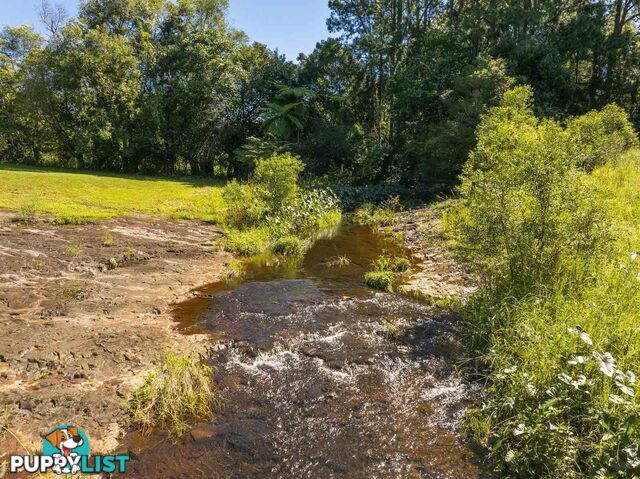 7 Banjo Place ALSTONVILLE NSW 2477