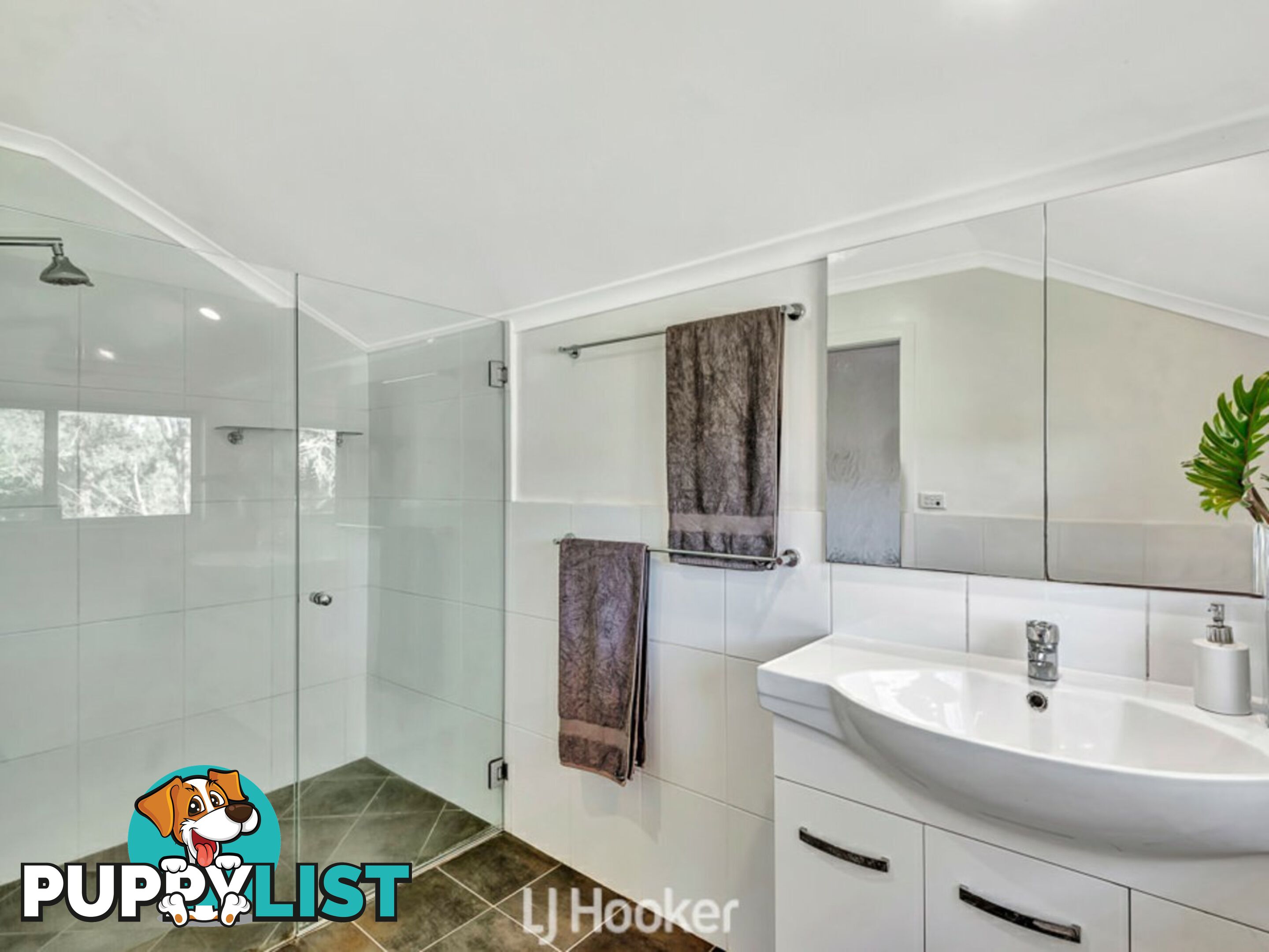 356 Alphadale Road LINDENDALE NSW 2480