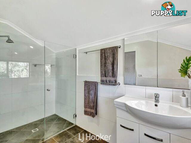 356 Alphadale Road LINDENDALE NSW 2480