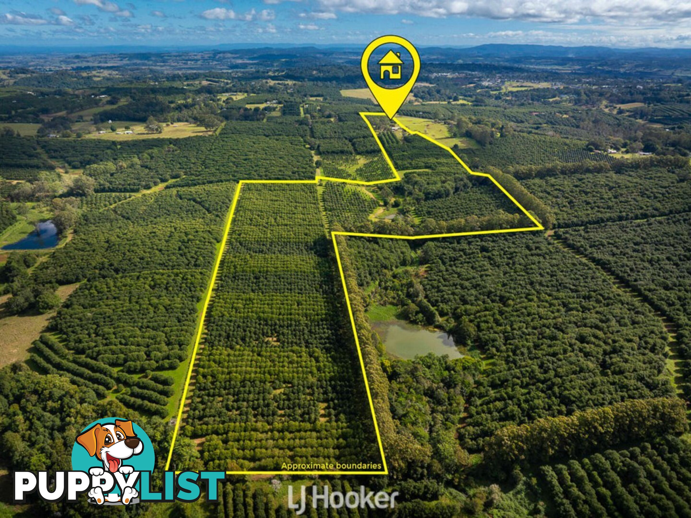 356 Alphadale Road LINDENDALE NSW 2480