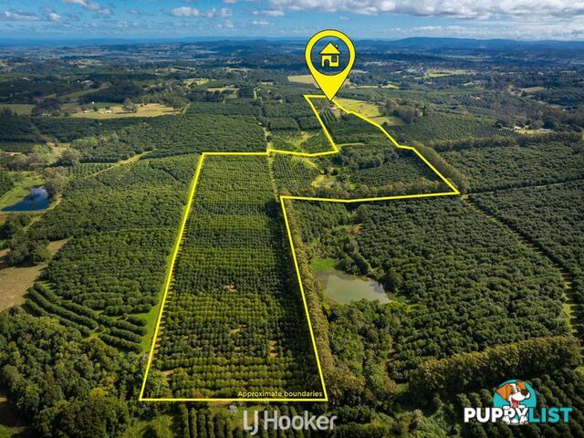 356 Alphadale Road LINDENDALE NSW 2480