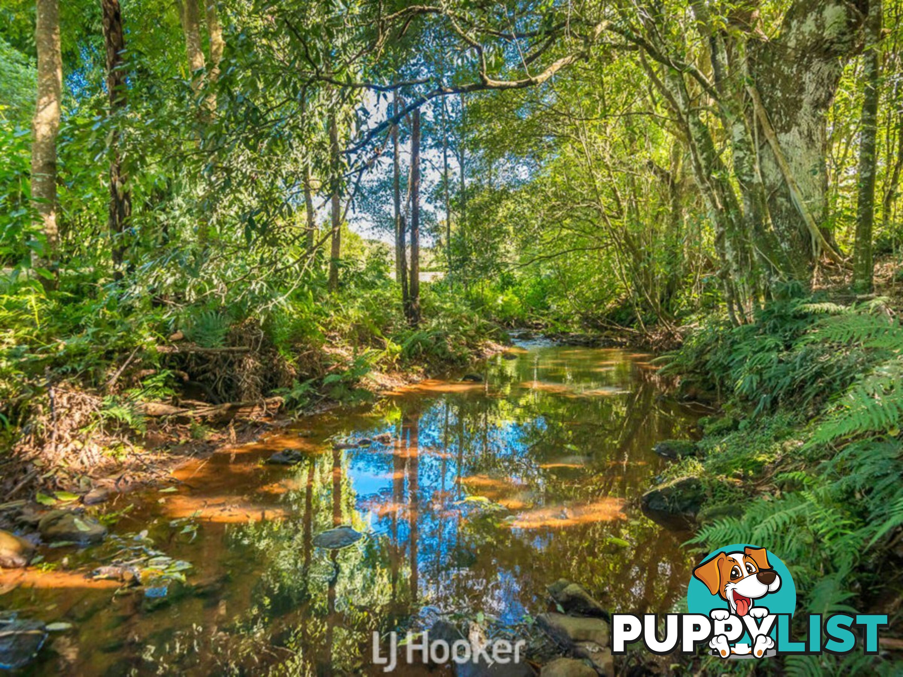 356 Alphadale Road LINDENDALE NSW 2480