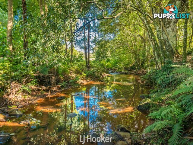 356 Alphadale Road LINDENDALE NSW 2480