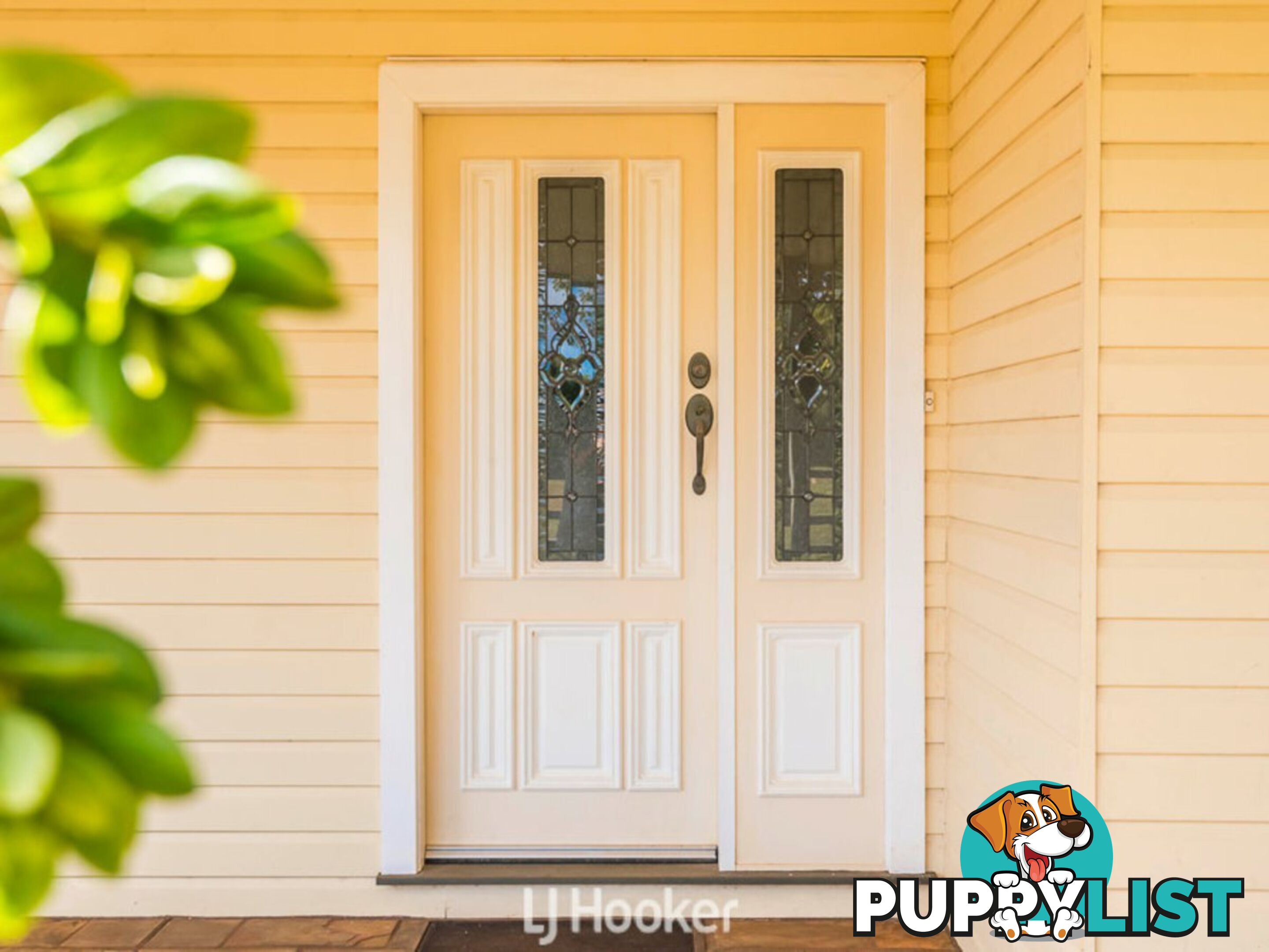 356 Alphadale Road LINDENDALE NSW 2480