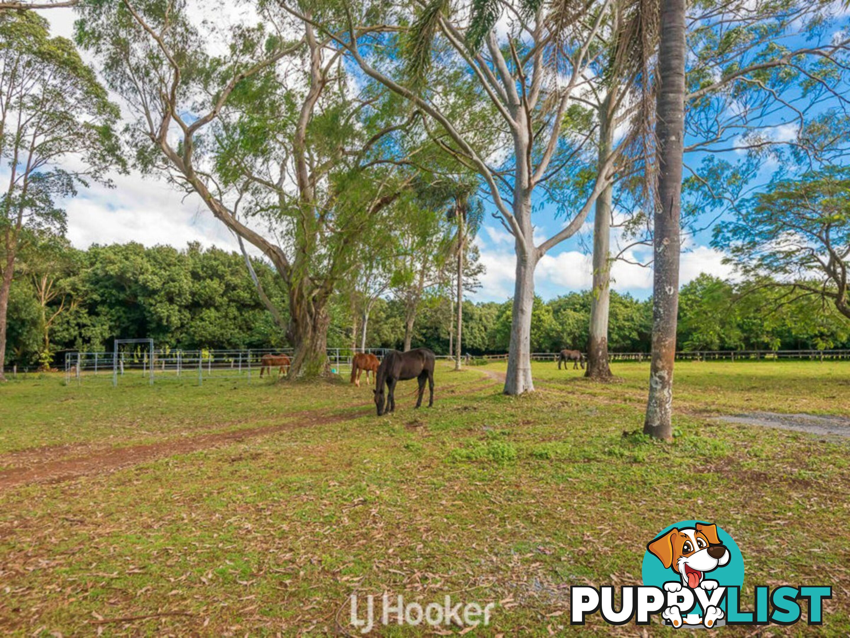 356 Alphadale Road LINDENDALE NSW 2480