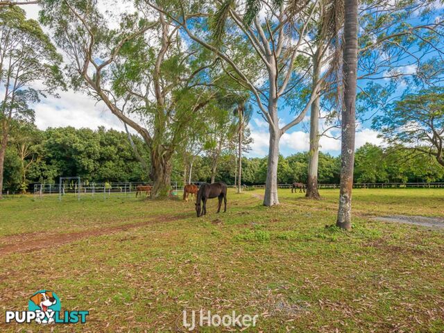 356 Alphadale Road LINDENDALE NSW 2480
