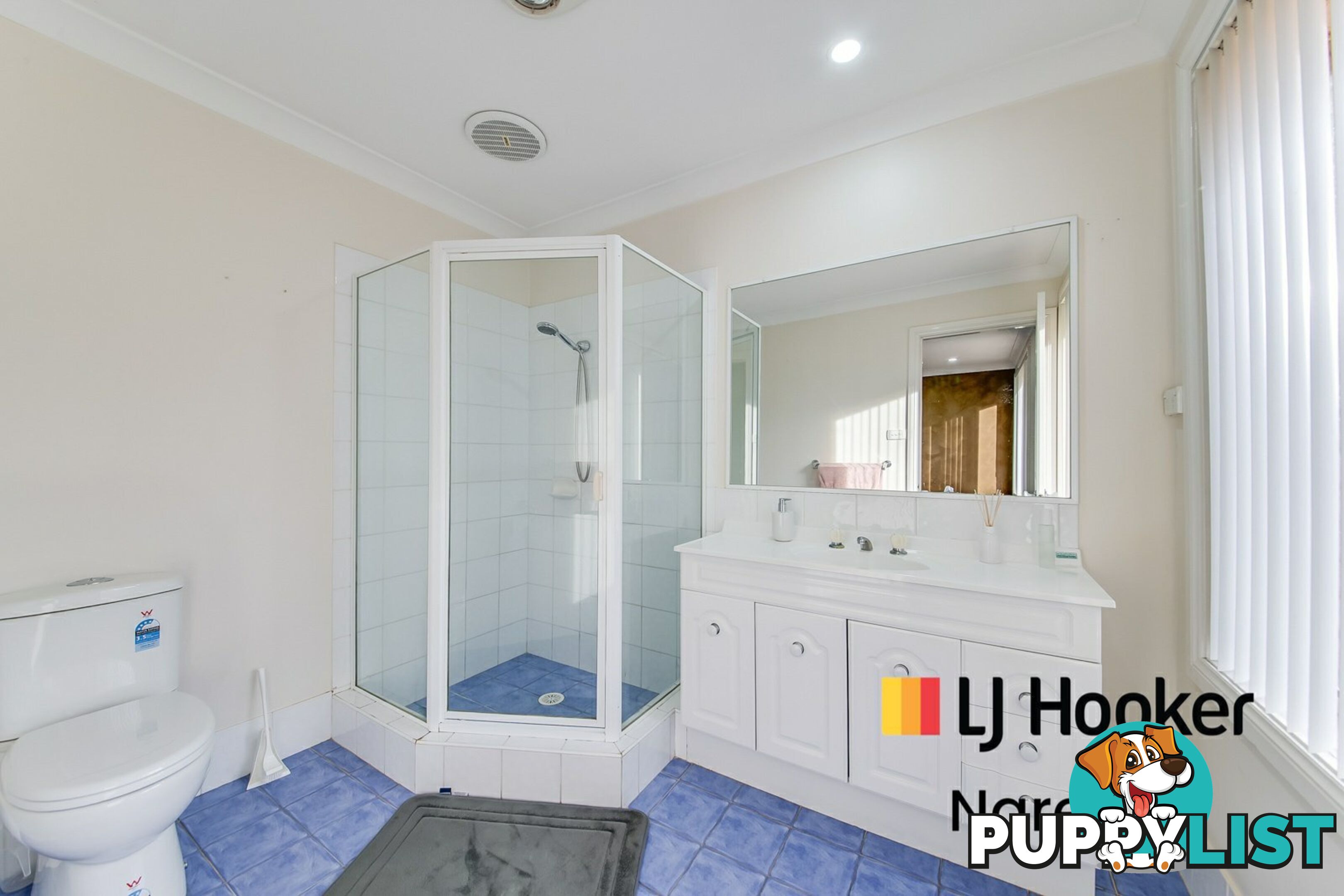 2 Jaf Place BLAIRMOUNT NSW 2559