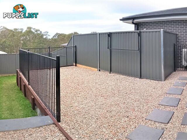 14a O'Rourke Street CAMPBELLTOWN NSW 2560