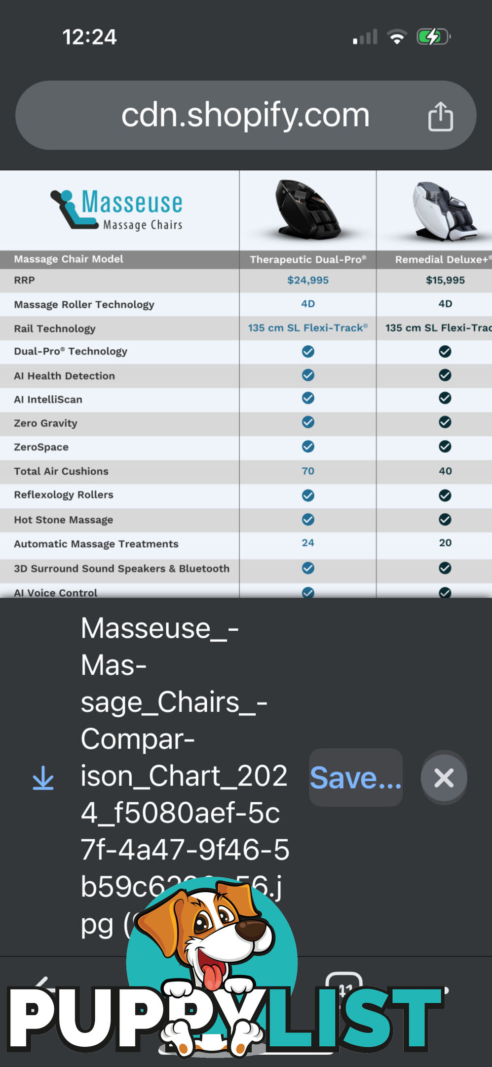 Therapeutic Dual Pro Masseuse chair