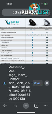 Therapeutic Dual Pro Masseuse chair