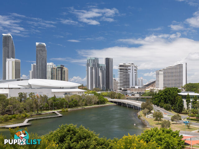 2610 'Freshwater Point' 33 T E Peters Drive BROADBEACH WATERS QLD 4218