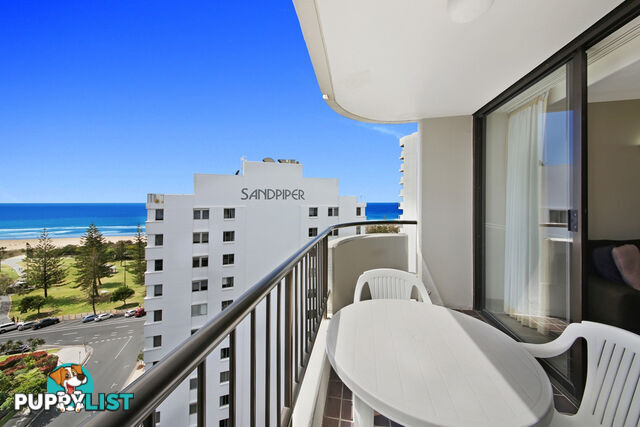 1301 'Pacific Resort' 8 Albert Avenue BROADBEACH QLD 4218