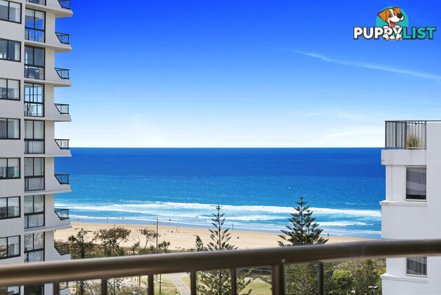 1301 'Pacific Resort' 8 Albert Avenue BROADBEACH QLD 4218