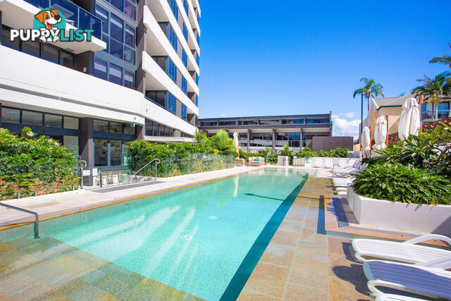 1508/9 Norfolk Avenue SURFERS PARADISE QLD 4217