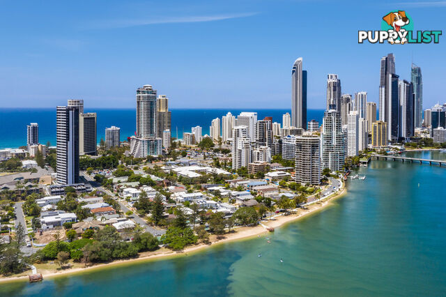 1508/9 Norfolk Avenue SURFERS PARADISE QLD 4217